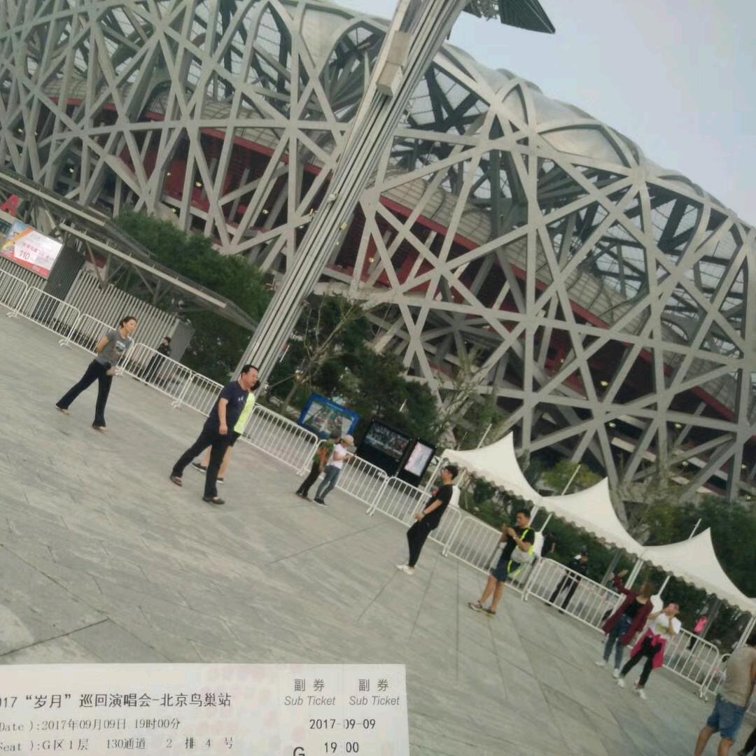 倒立喝可乐的猫