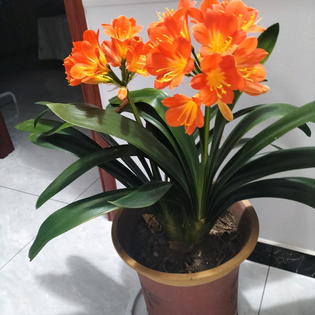 岁月如故