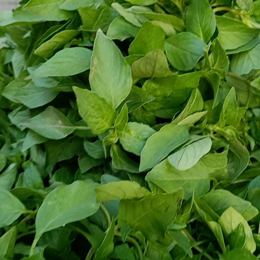 田甜甜＆就是这么甜～