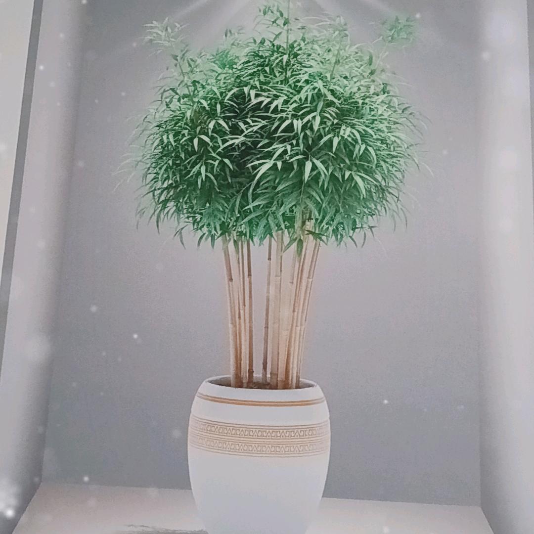 芙蓉姐姐潮玩馆