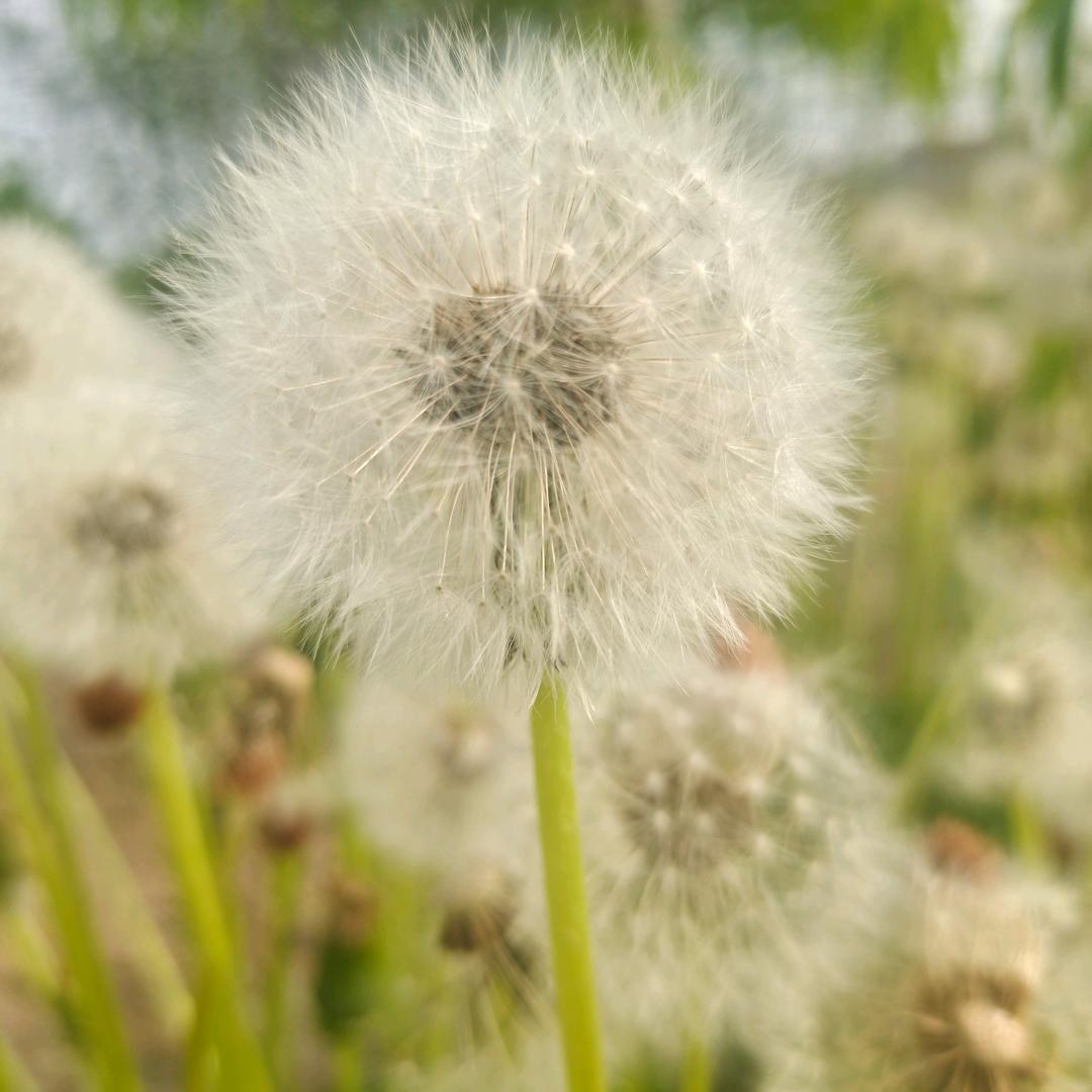 存存