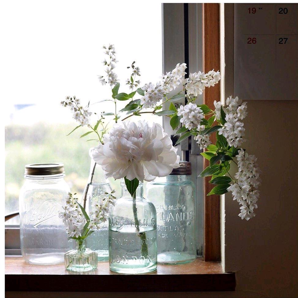 有花对你说园艺