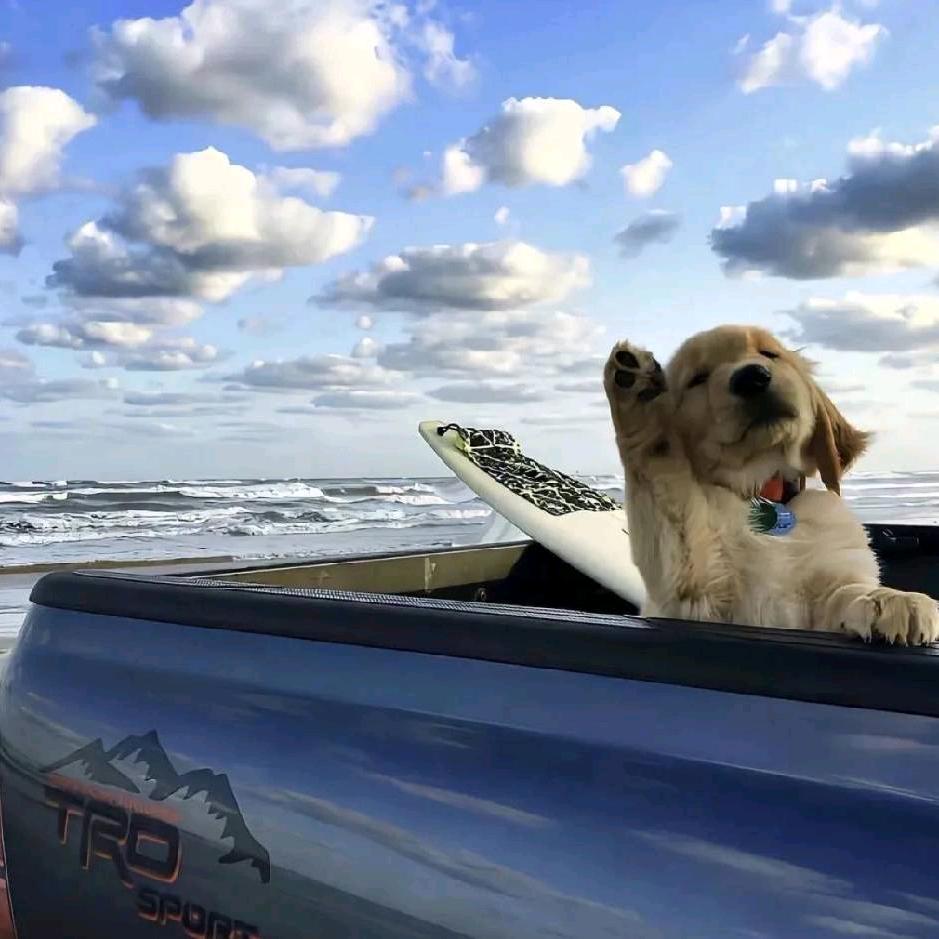 裕（三角洲行动）