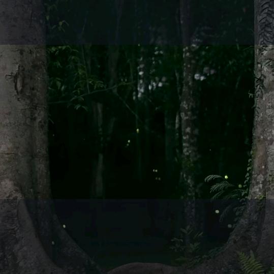莫言剧场