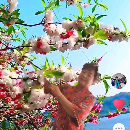 大杨好物芧箭区洁云网络销售店(个体工商户