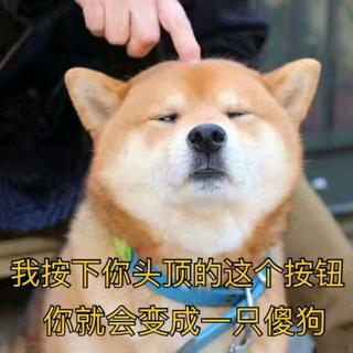 爱吃松果的猫