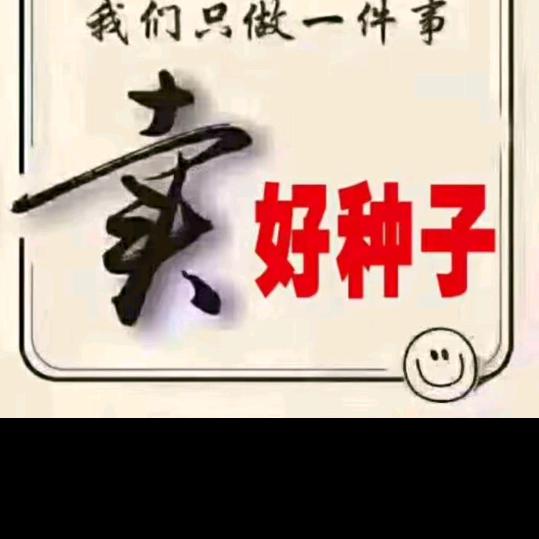 小麦～玉米新品种推广