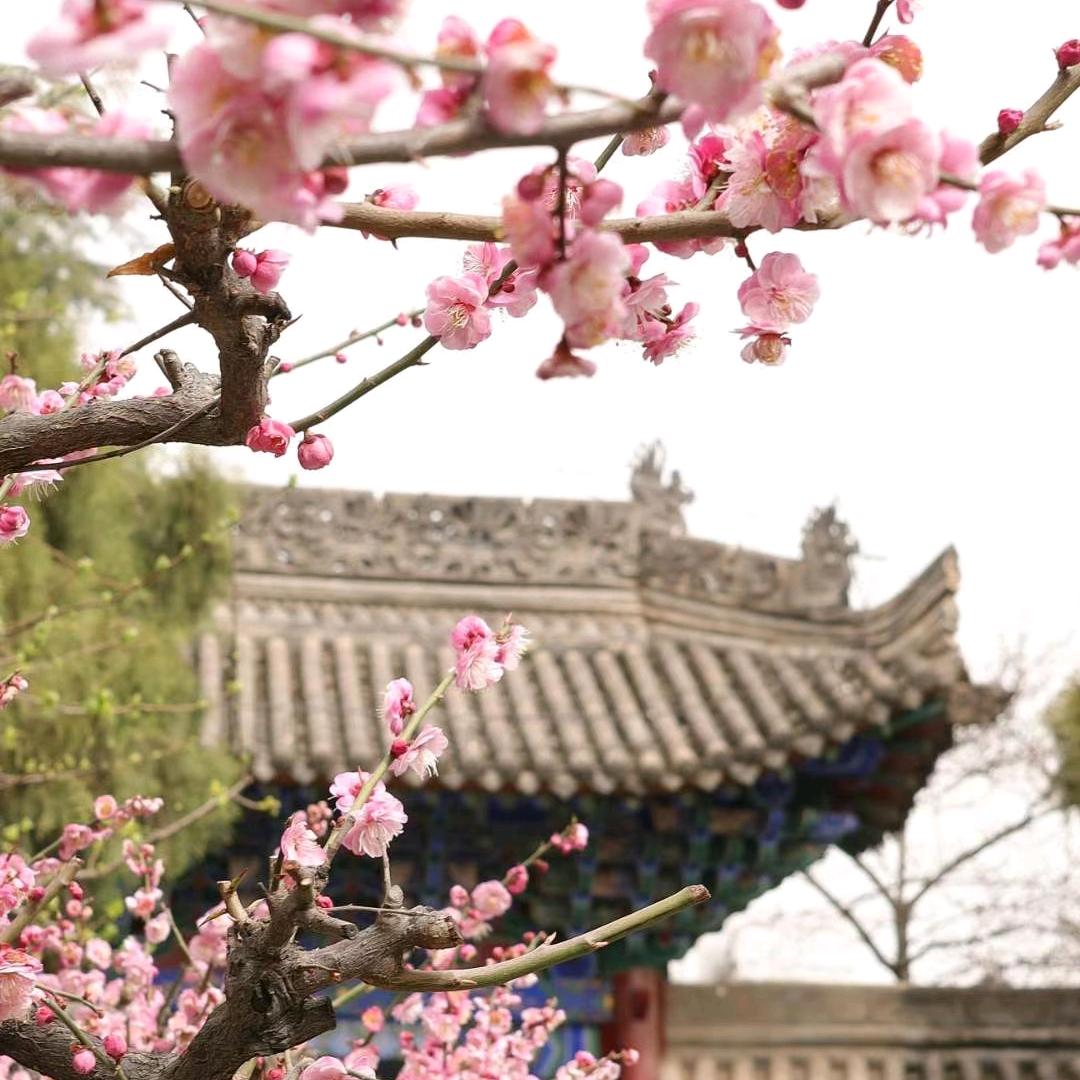 丝路欢乐世界乐乐