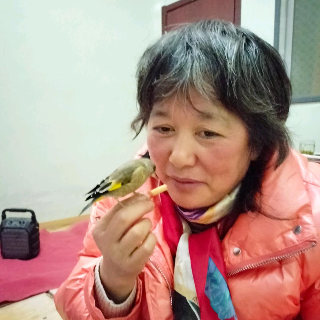 雪里红🎤💃晚上7：10开播（功夫卷饼