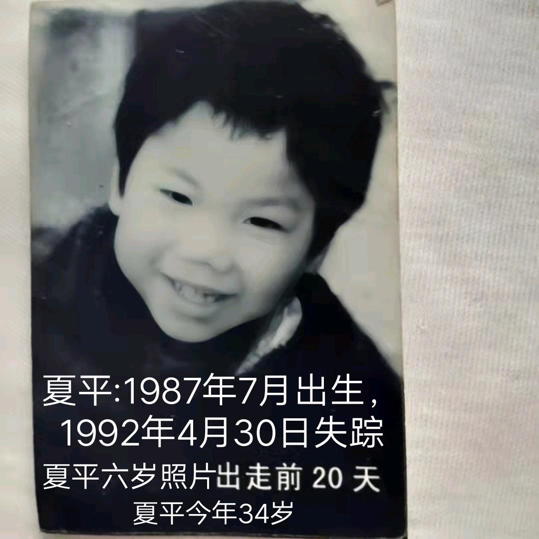寻找儿子夏平