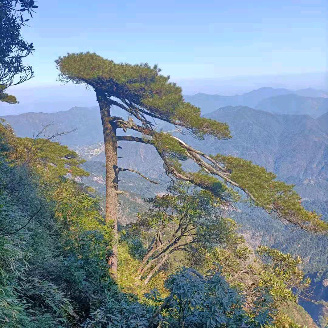 一生一世❤️