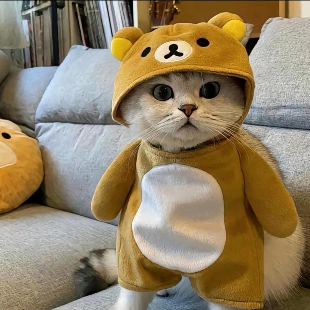 半滴泪