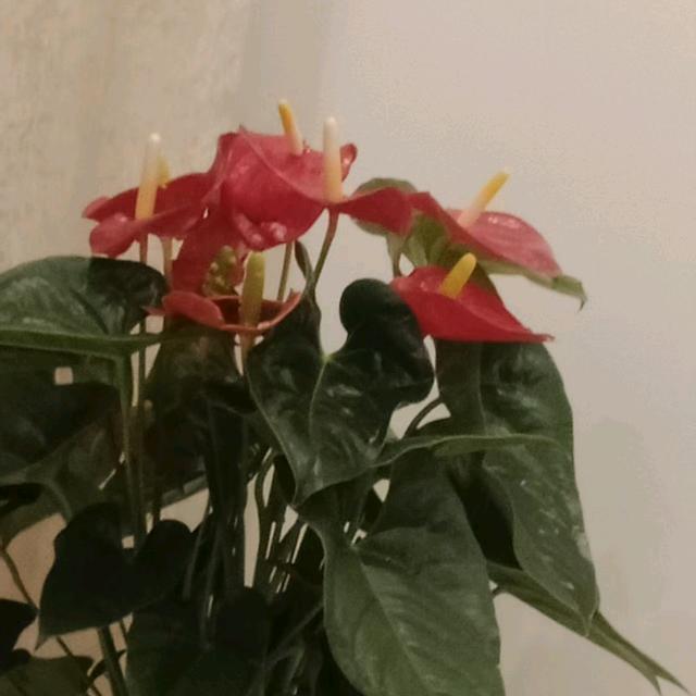 不过人间
