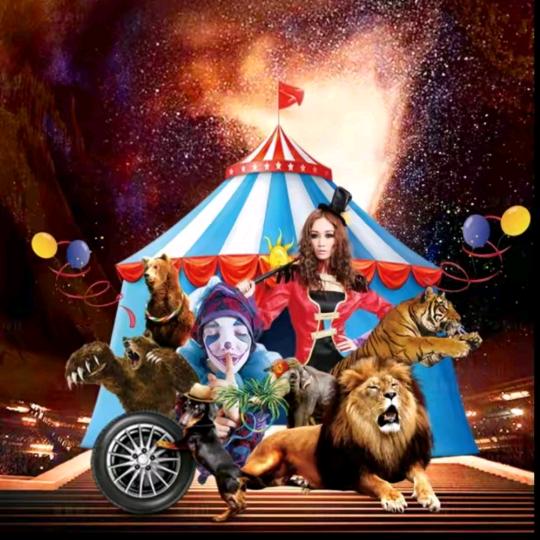 学学游乐（道兴大马戏旗下）