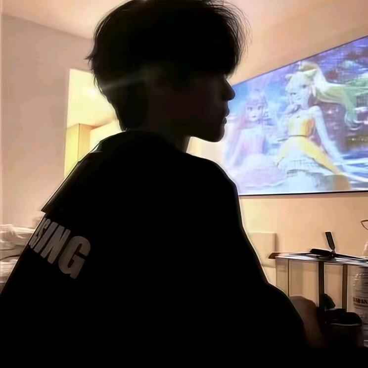 和平小t（上分/地铁）