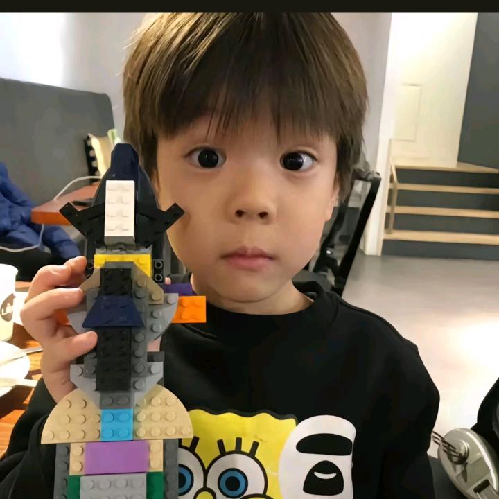 菠萝退学