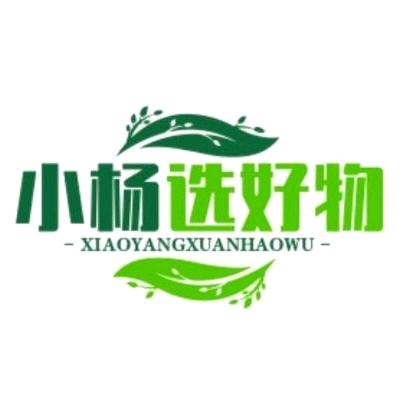 小杨选好物