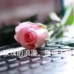 招财师姐