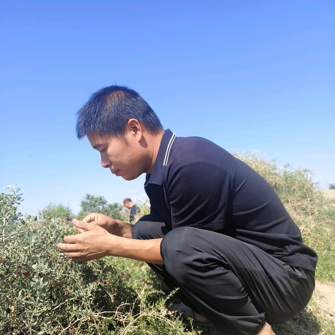 薛哥牧业一站式服务（内蒙通辽买牛团队）
