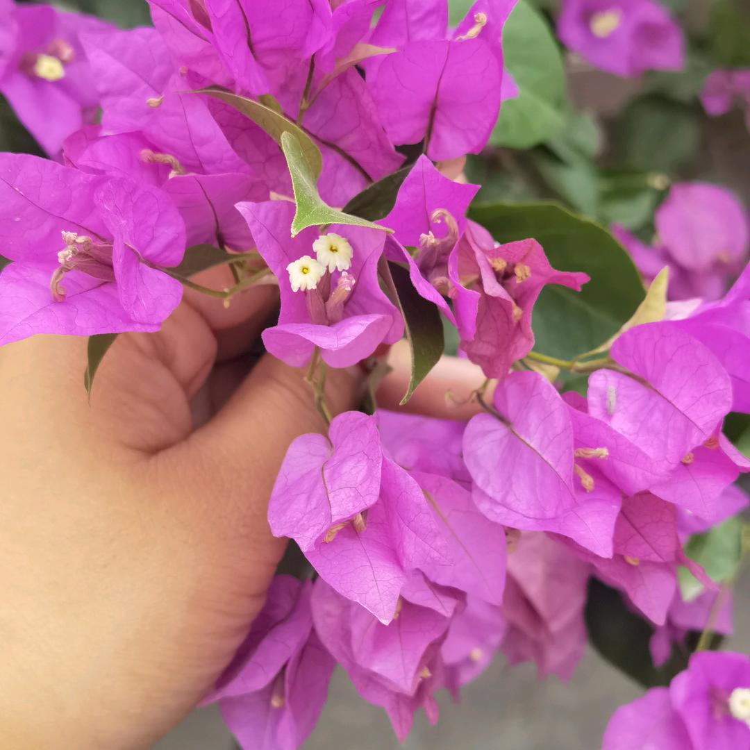 💞༊ꦿ࿙封ཽ心᭄鎖꧈愛ꦿ҈🌹