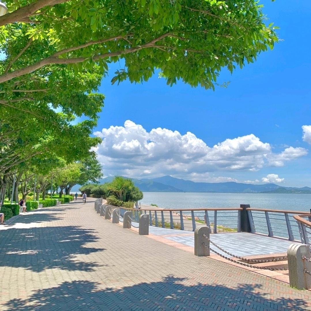 花若盛开，蝴蝶自来