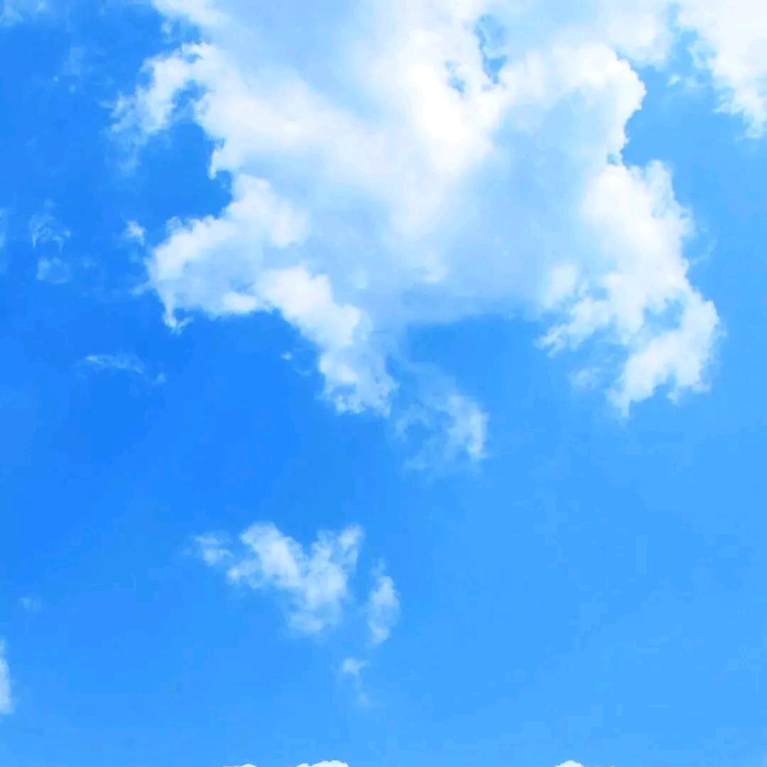 军辉烟酒商行(玫·汉口北城B区店)维杏禾88489直播号