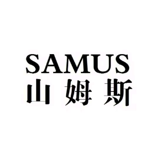 山姆斯逆变器工厂