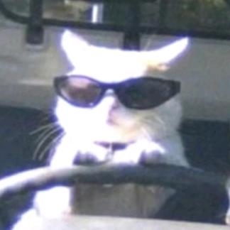 我有一屁兜钱💰