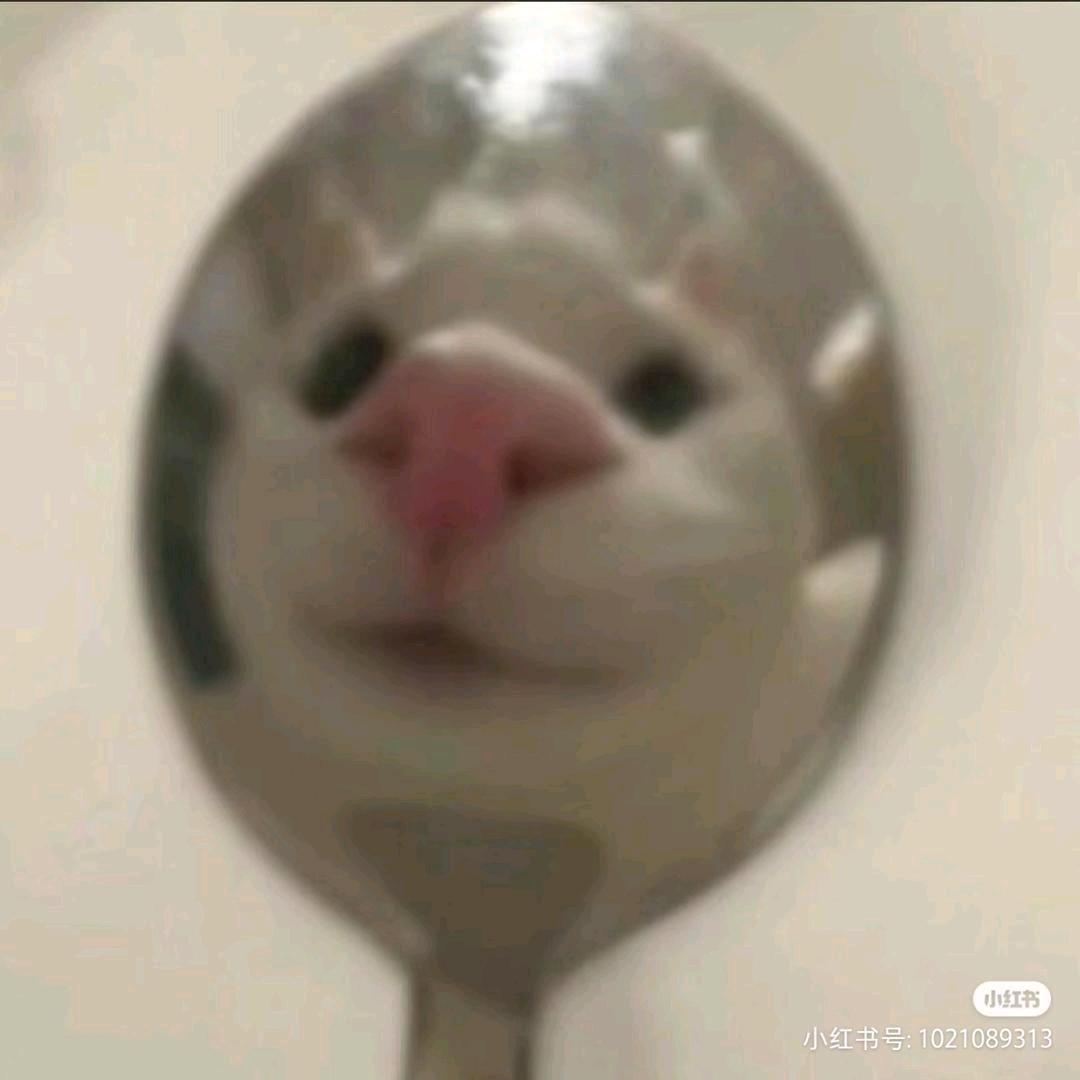 西寻