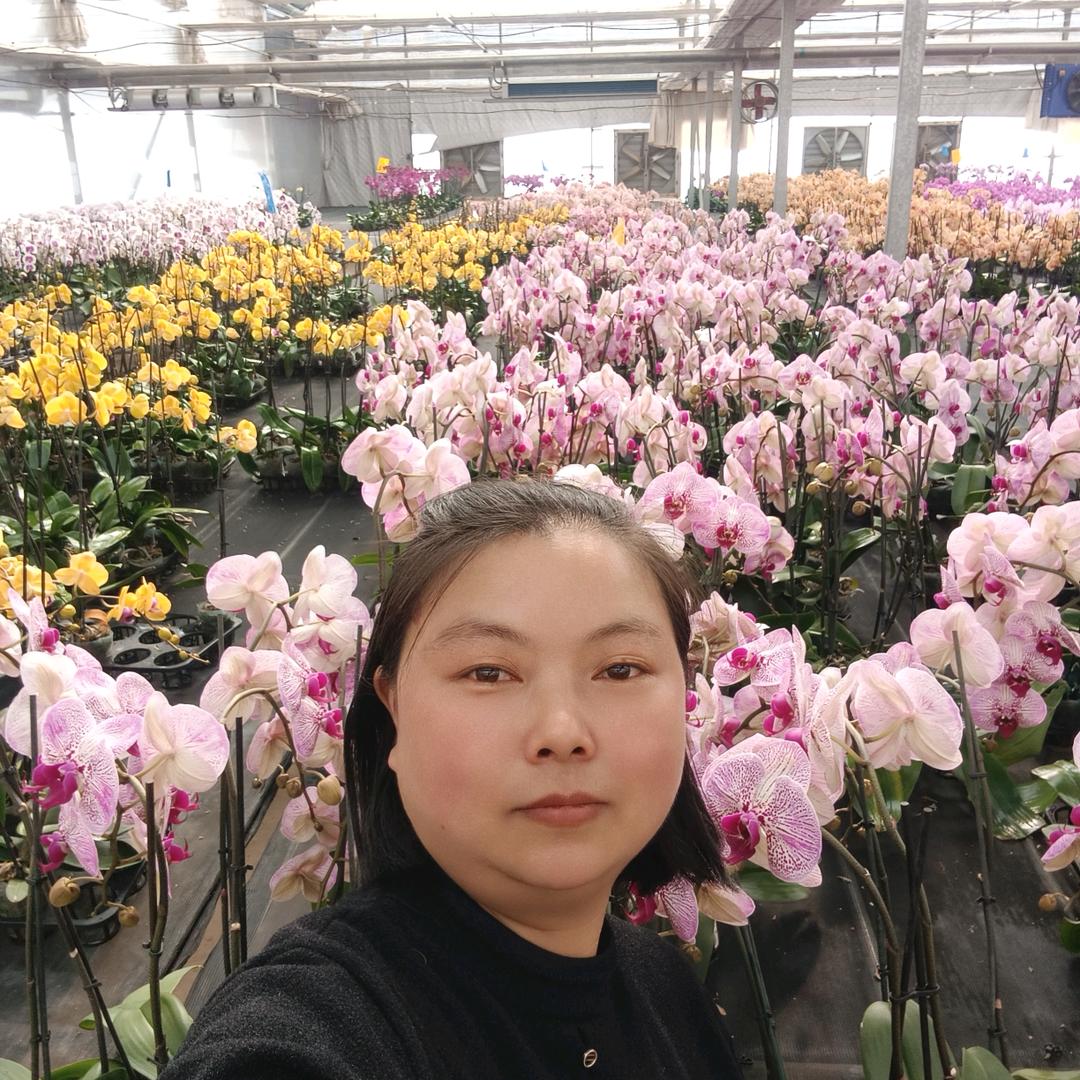 蔬菜美容师