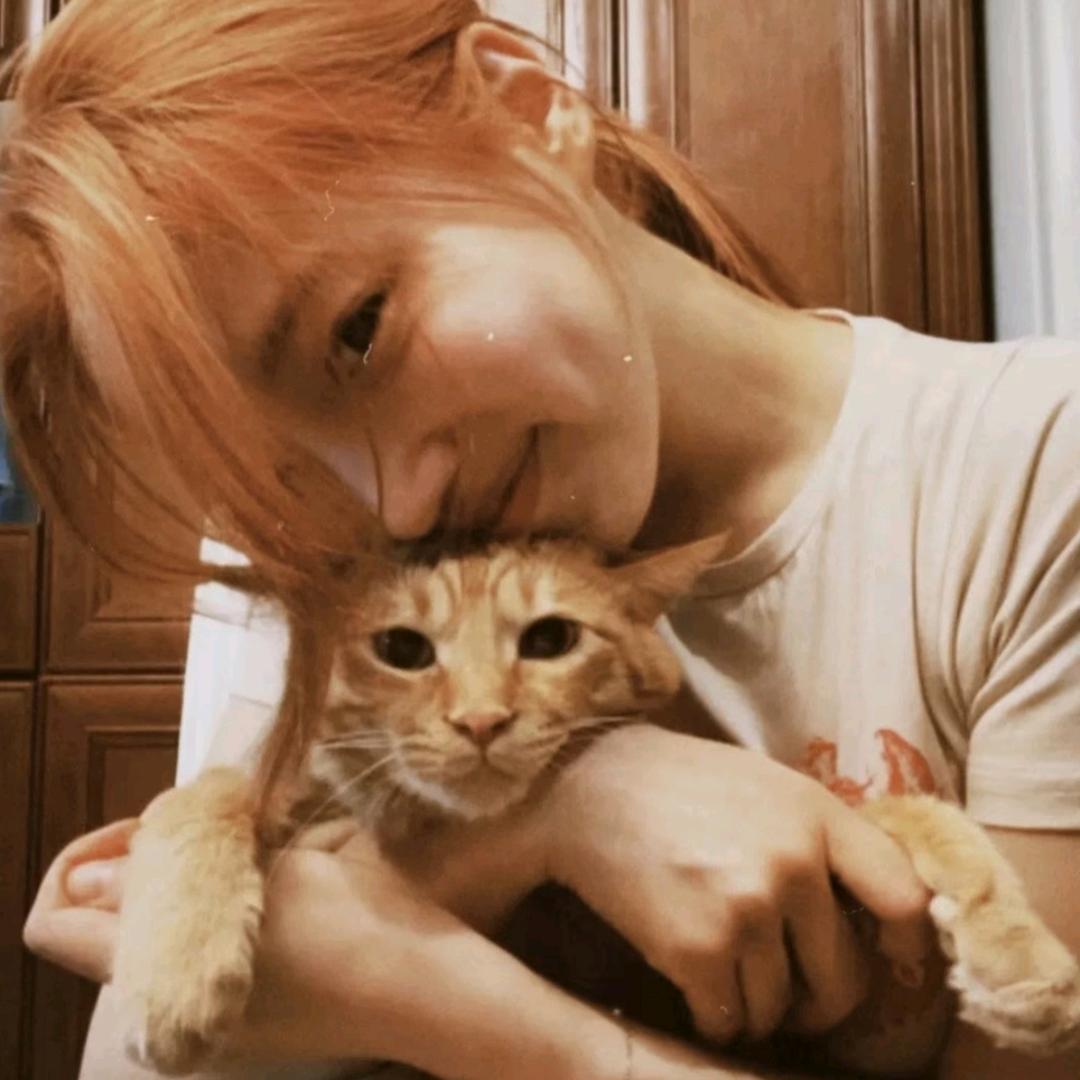 花果山我腚最红（无语版）