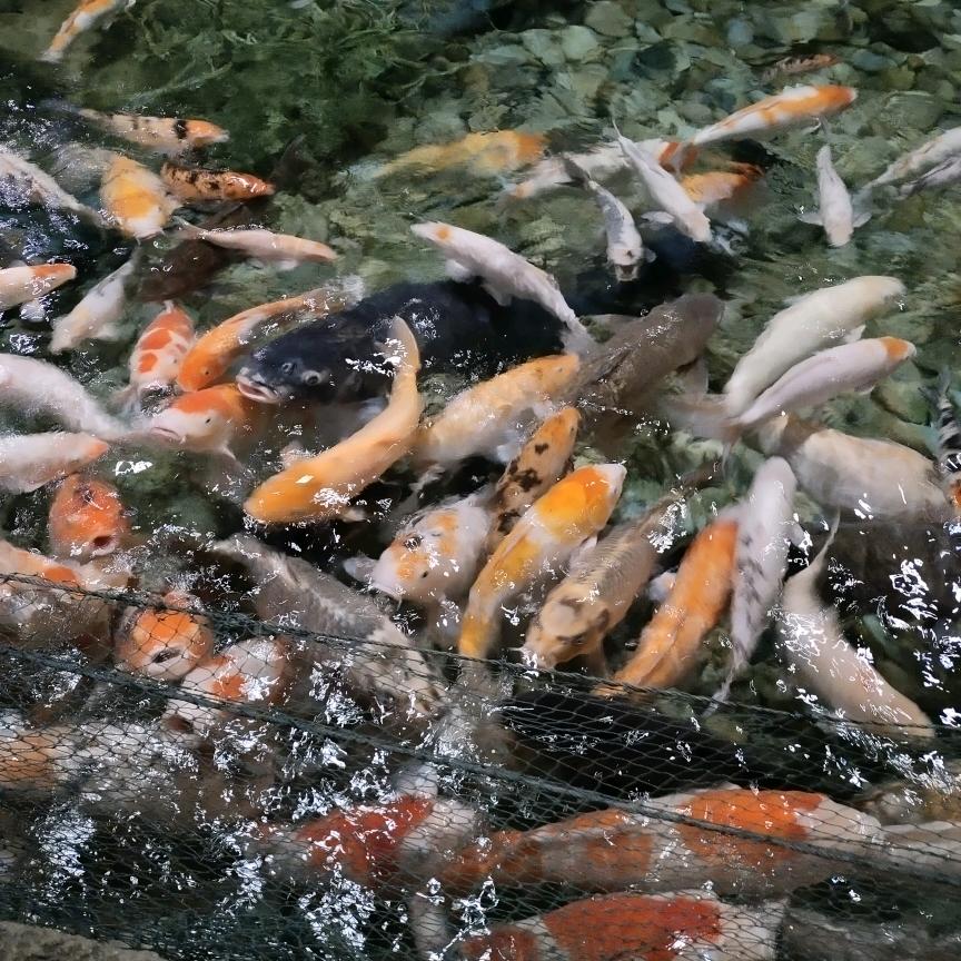 通州店迎新