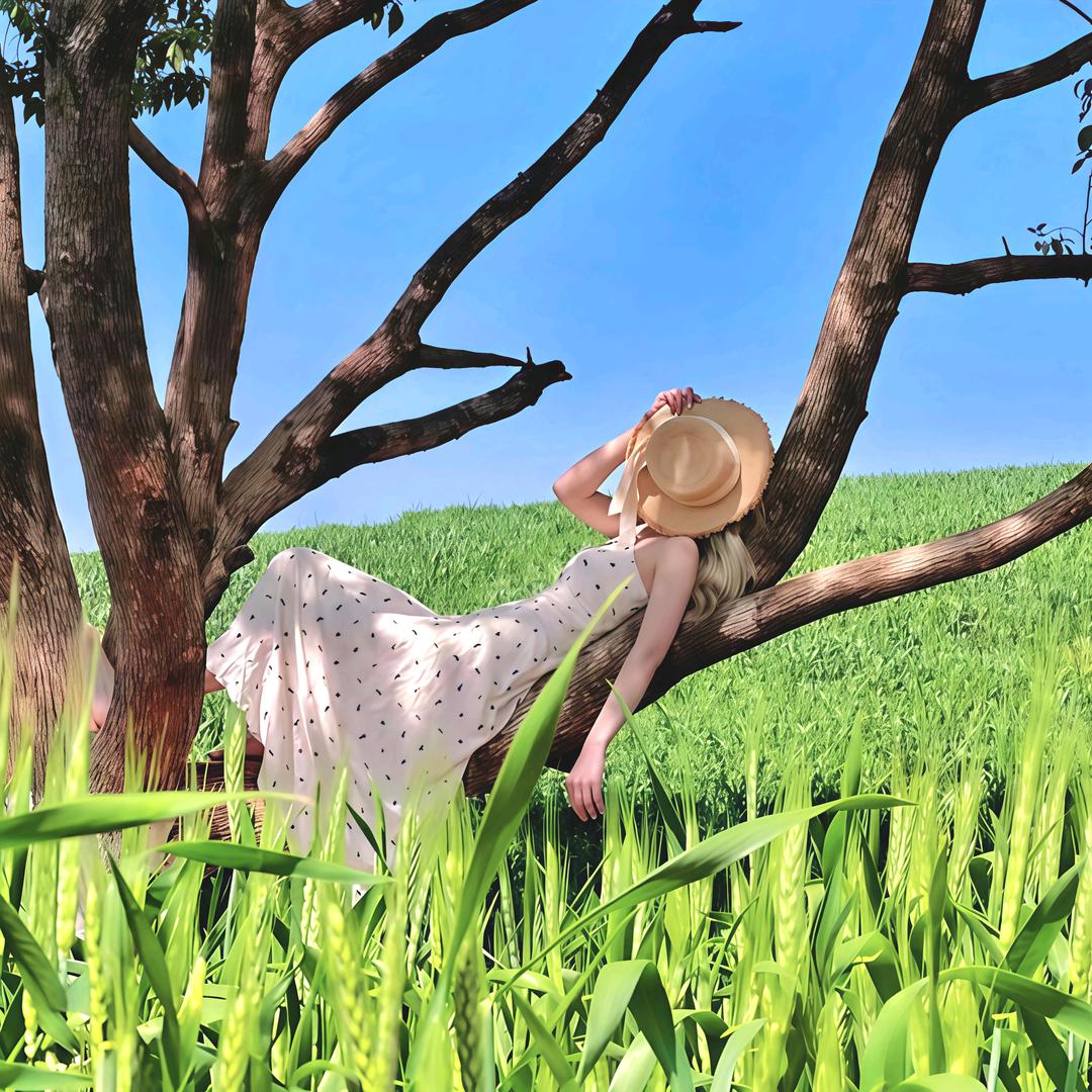 一枝和月香🍃头像