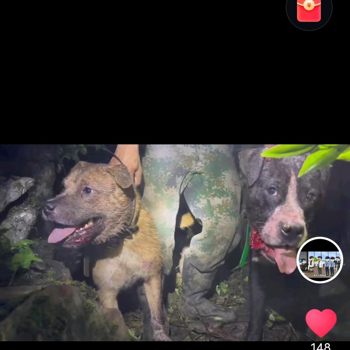旺仔 QQ 糖🐟🐶