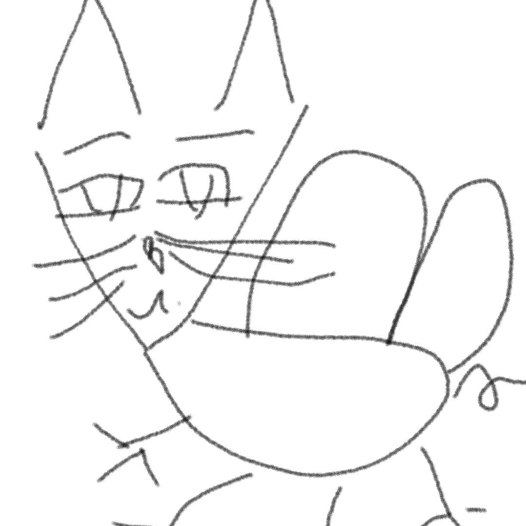 飞行的蜜猫