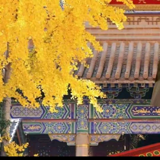 皖西居士