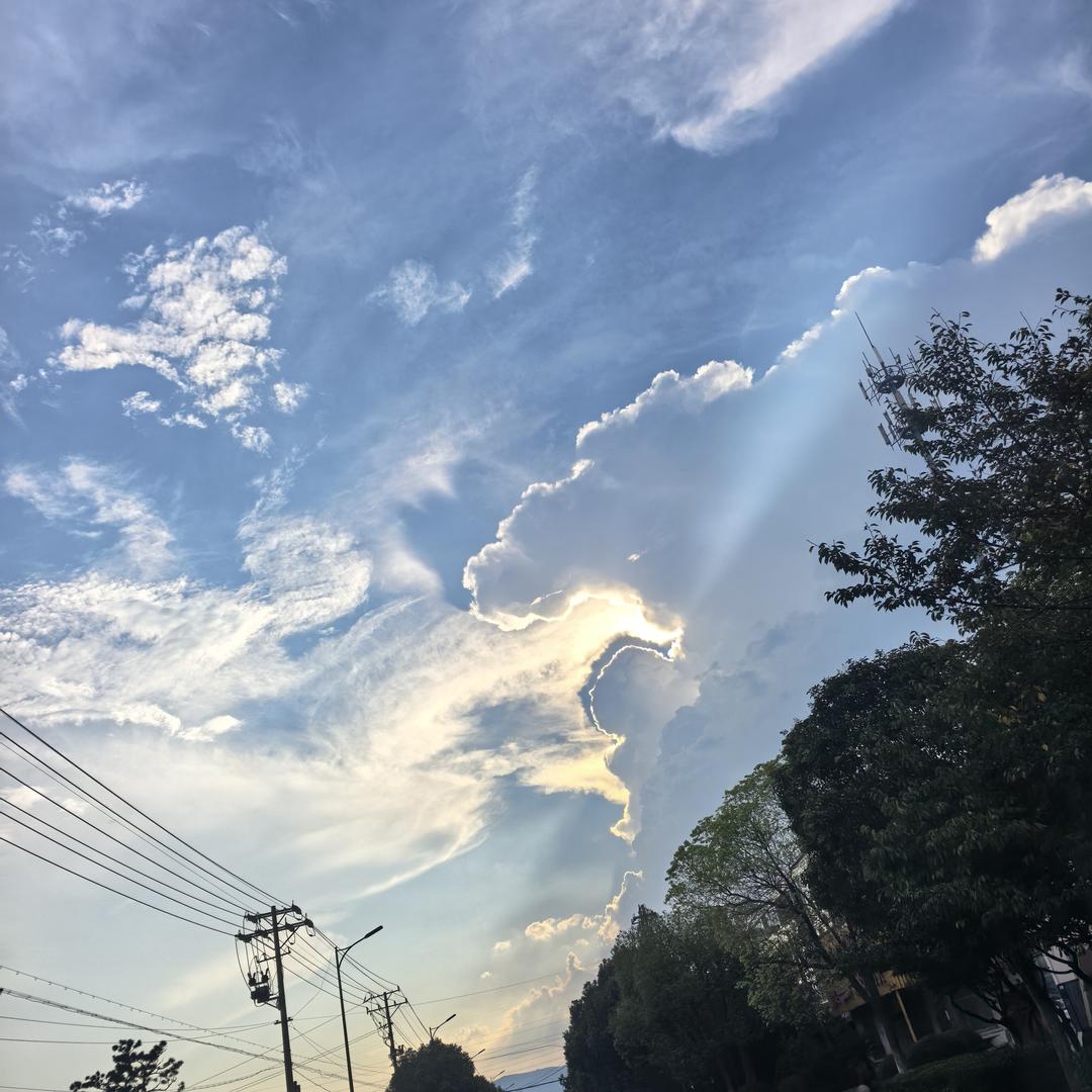 岁月是把杀猪刀