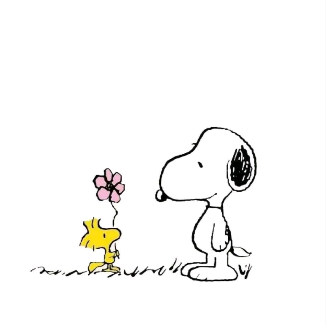 7a（流量回家）