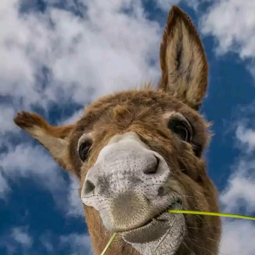 云南经济管理学院小李学长