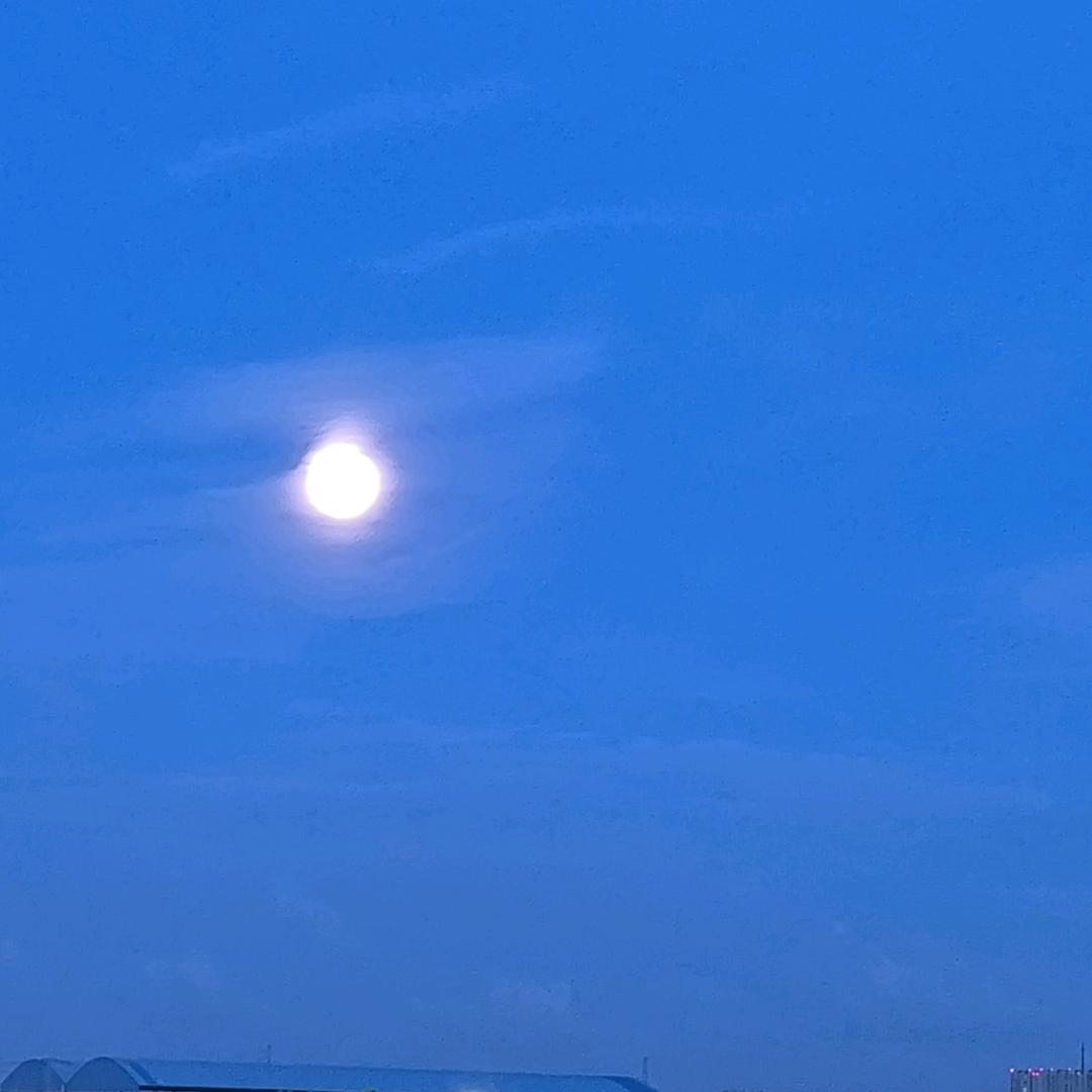 美柚明子