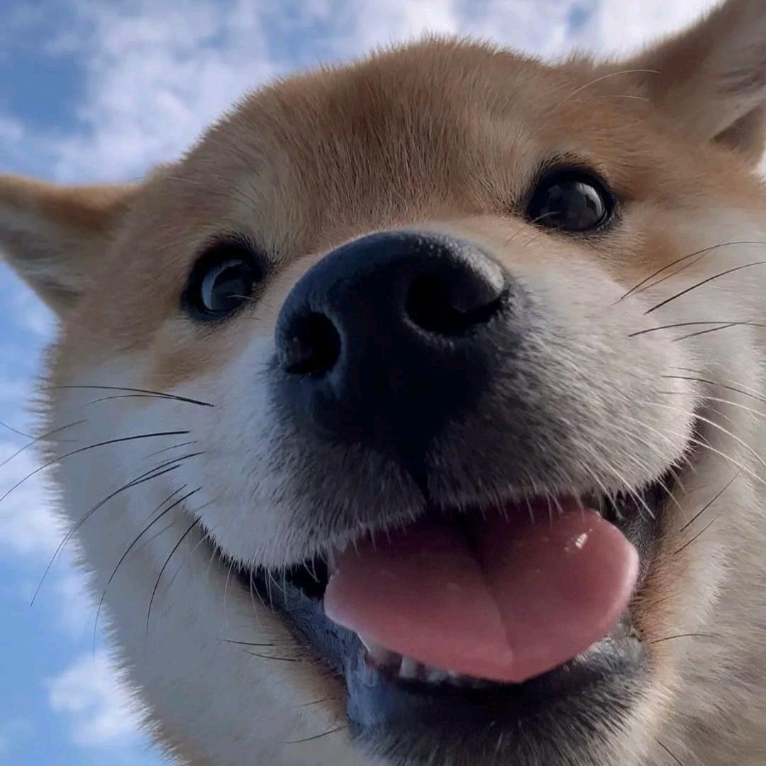 寡