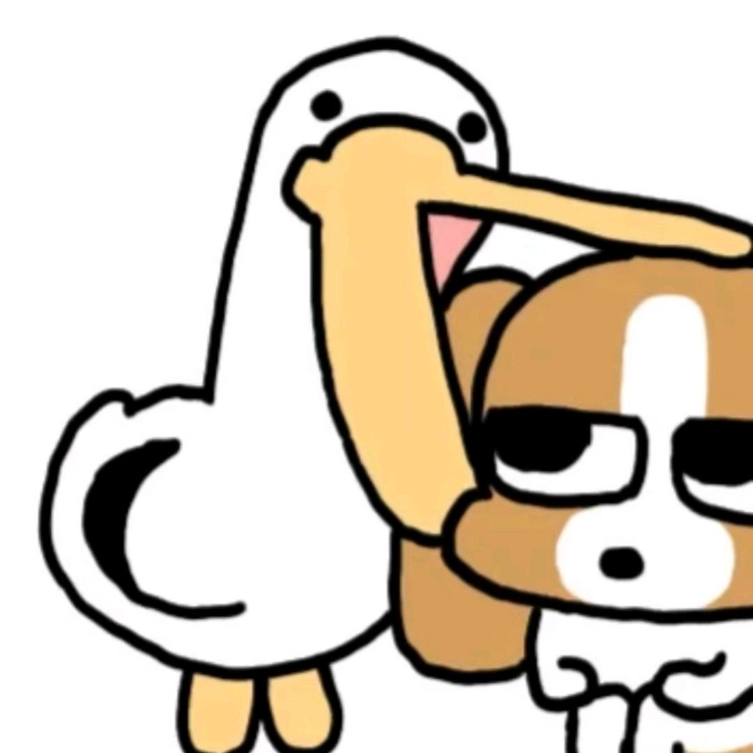 家里养了只