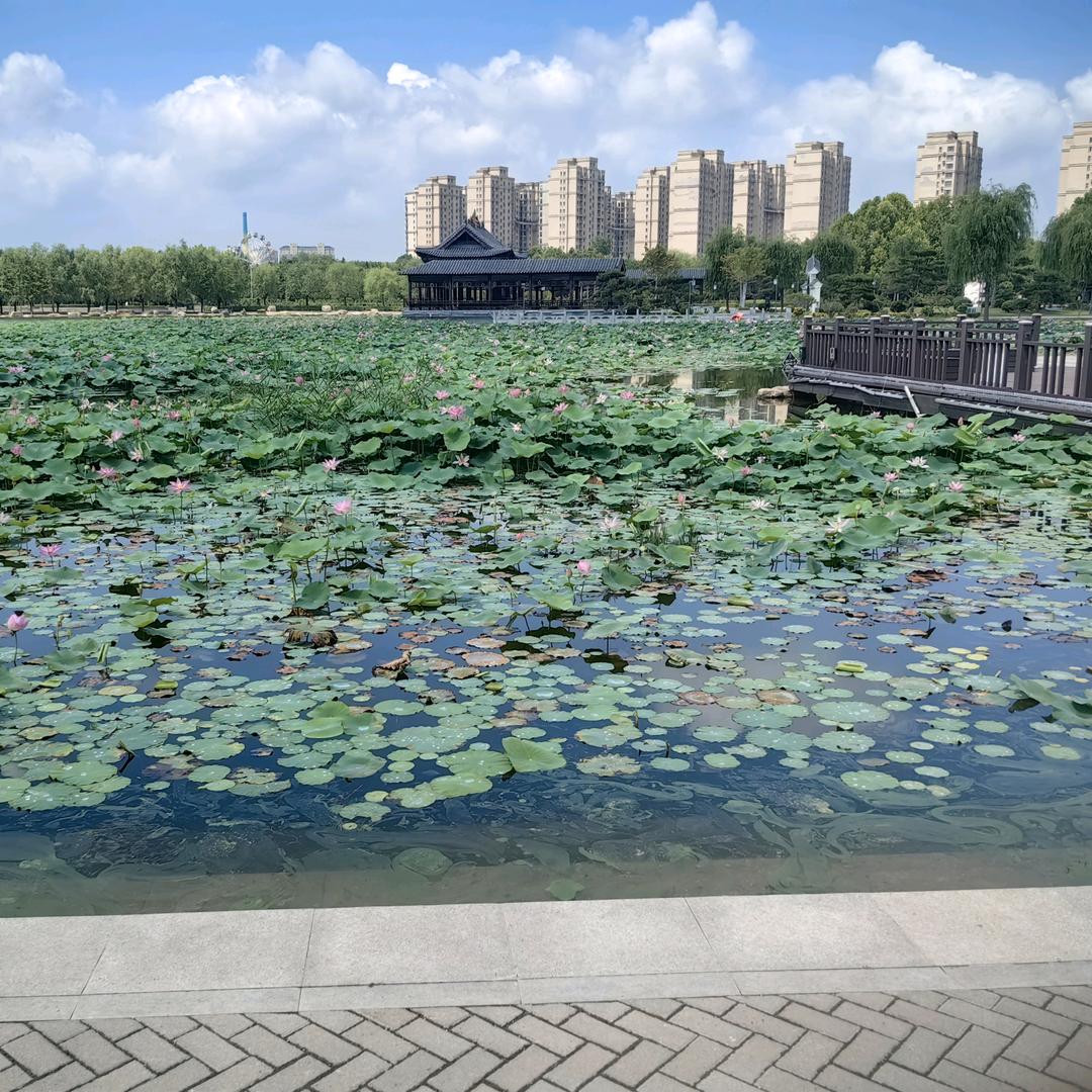 竹石斋