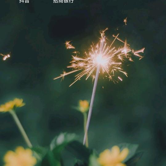 沉晨