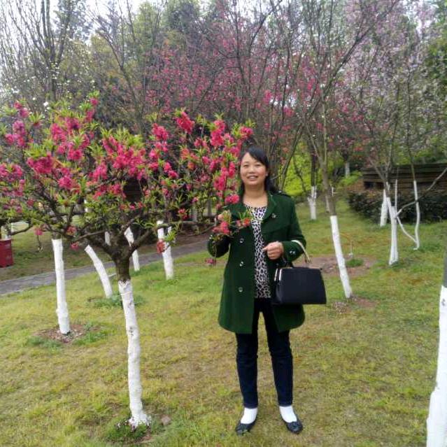 梅梅小说