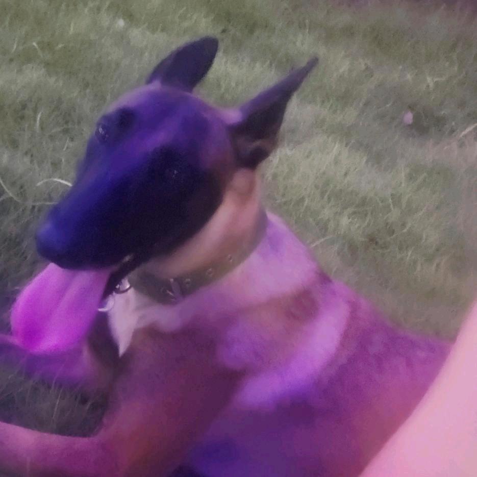 ℳঞᩚ超哥꧔ꦿ᭄℡1⃣️