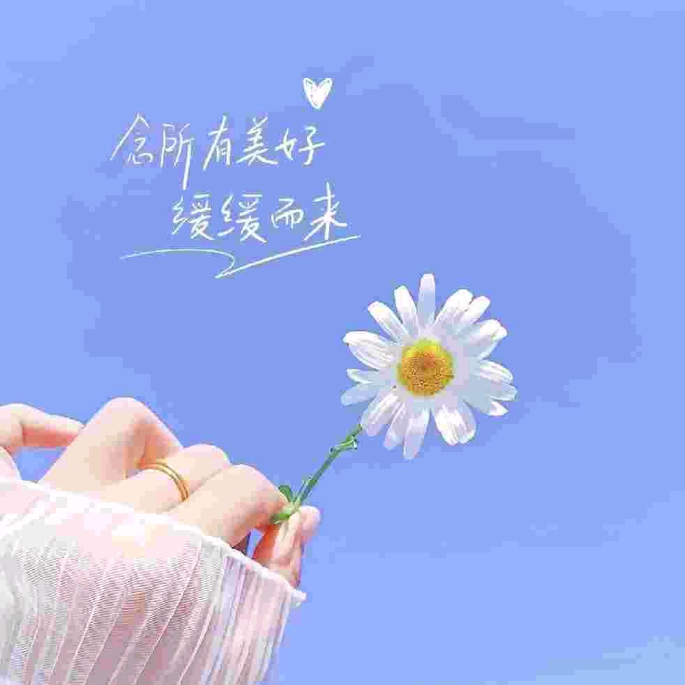 清浅
