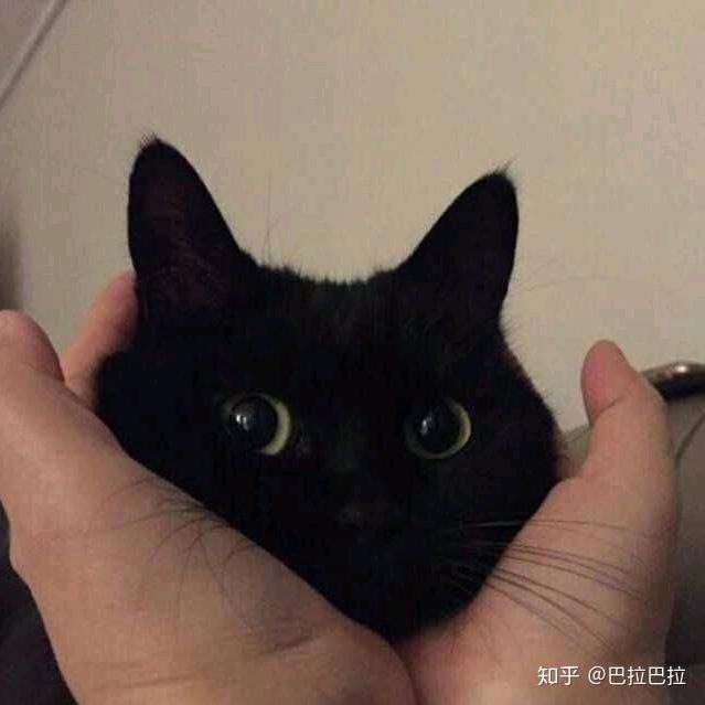 ˎ左右