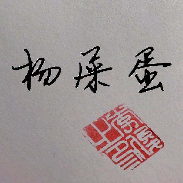 Mr 杨