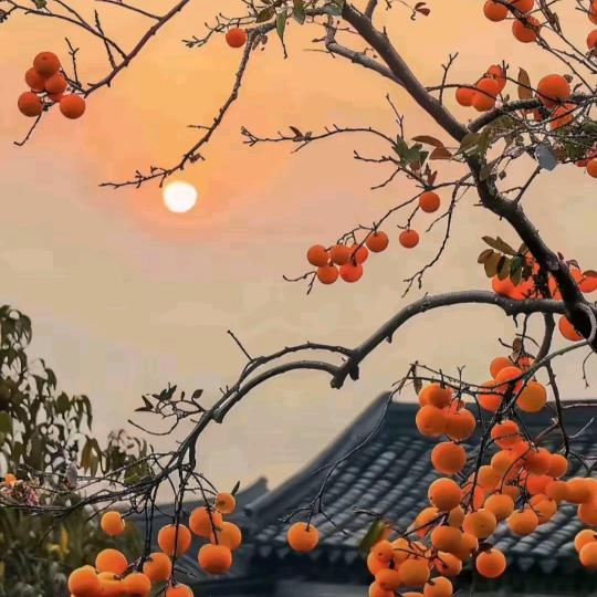 山海🏜️